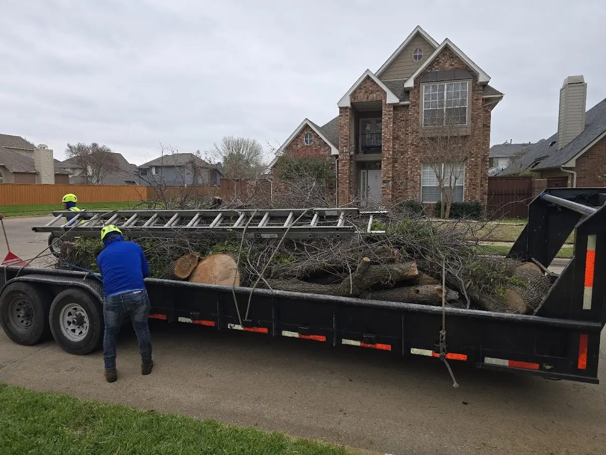 Expert Tree Fertilization with proper safety equipment in Polk